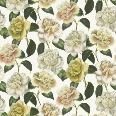 camellia-folly-john-derian-fjd6020-02