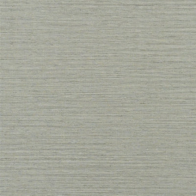 brera-grasscloth-birch-designers-guild-pdg1120-02