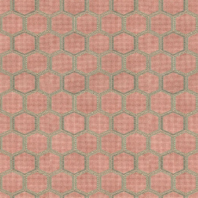 manipur-coral-designers-guild-pdg1121-06