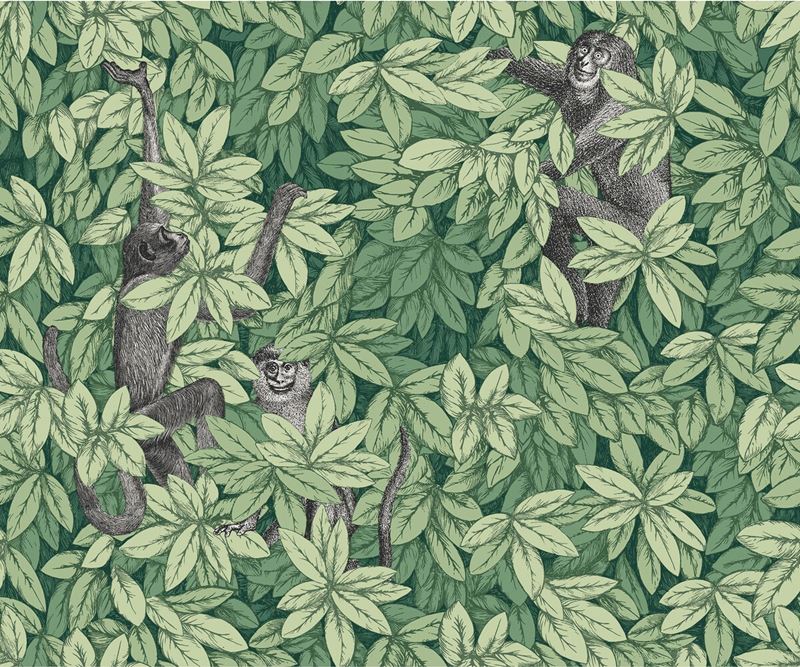 Cole & Son Wallpaper 123/10049.CS Foglie E Scimmie Green