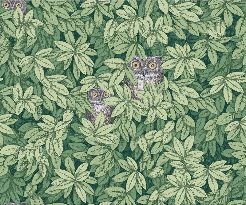 Cole & Son Wallpaper 123/11054.CS Foglie E Civette Green