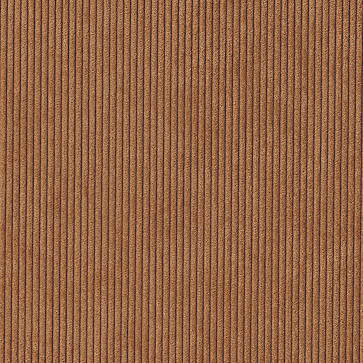 CORDUROY-CLOTH-COPPER-CHANNELS-PHILLIP-JEFFRIES-8921