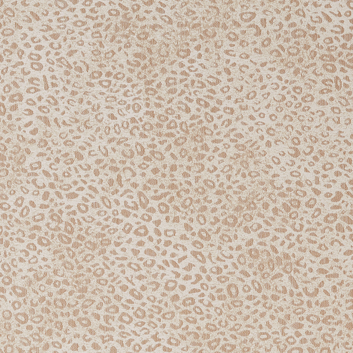 CHEETAH-CLOTH-ZOOMING-BEIGE-PHILLIP-JEFFRIES-5388