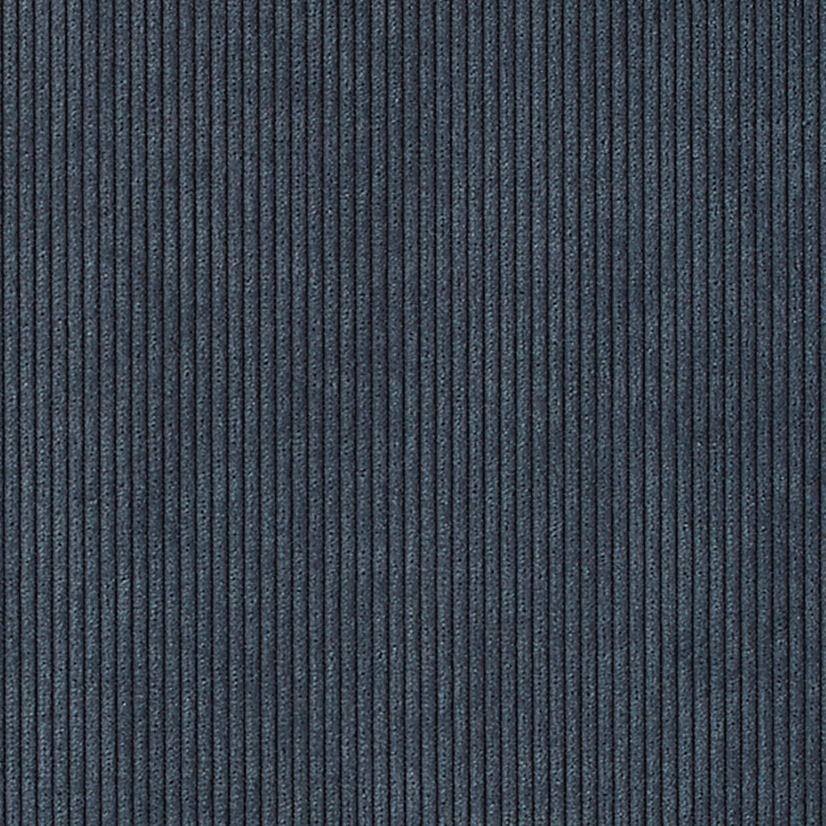 CORDUROY-CLOTH-BEDFORD-BLUE-PHILLIP-JEFFRIES-8923