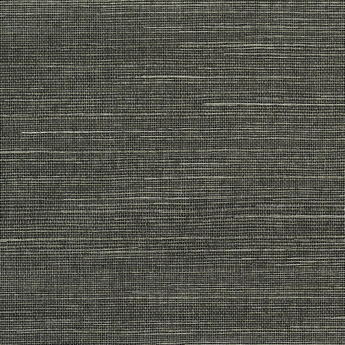 MANILA-HEMP-GRAPHITE-PHILLIP-JEFFRIES-3444