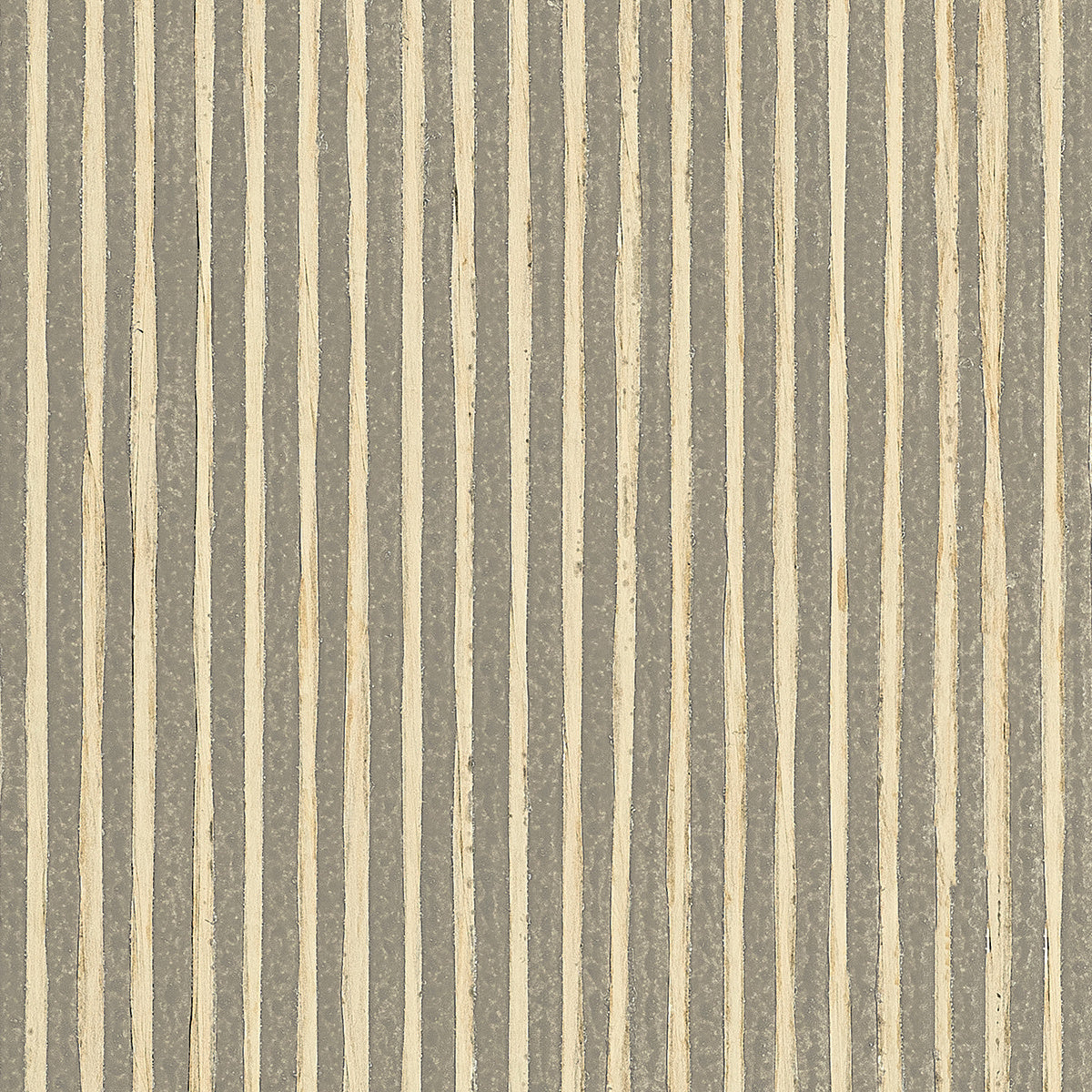 ZEBRA-GRASS-EARL-GREY-PHILLIP-JEFFRIES-3307