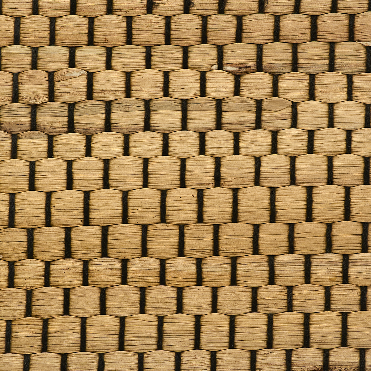 BRAIDED-WALLS-COCONUT-SHELL-PHILLIP-JEFFRIES-3151