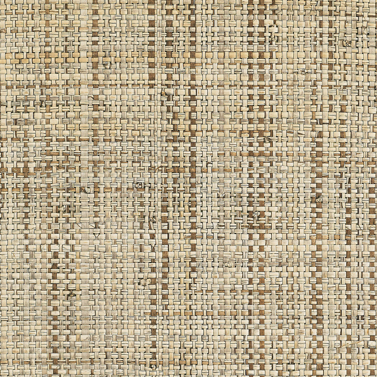 ISLAND-RAFFIA-DASH-OF-CLOVE-PHILLIP-JEFFRIES-1307