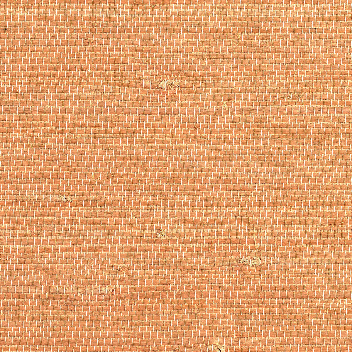 JUICY-JUTE-FLORIDA-ORANGE-PHILLIP-JEFFRIES-9260