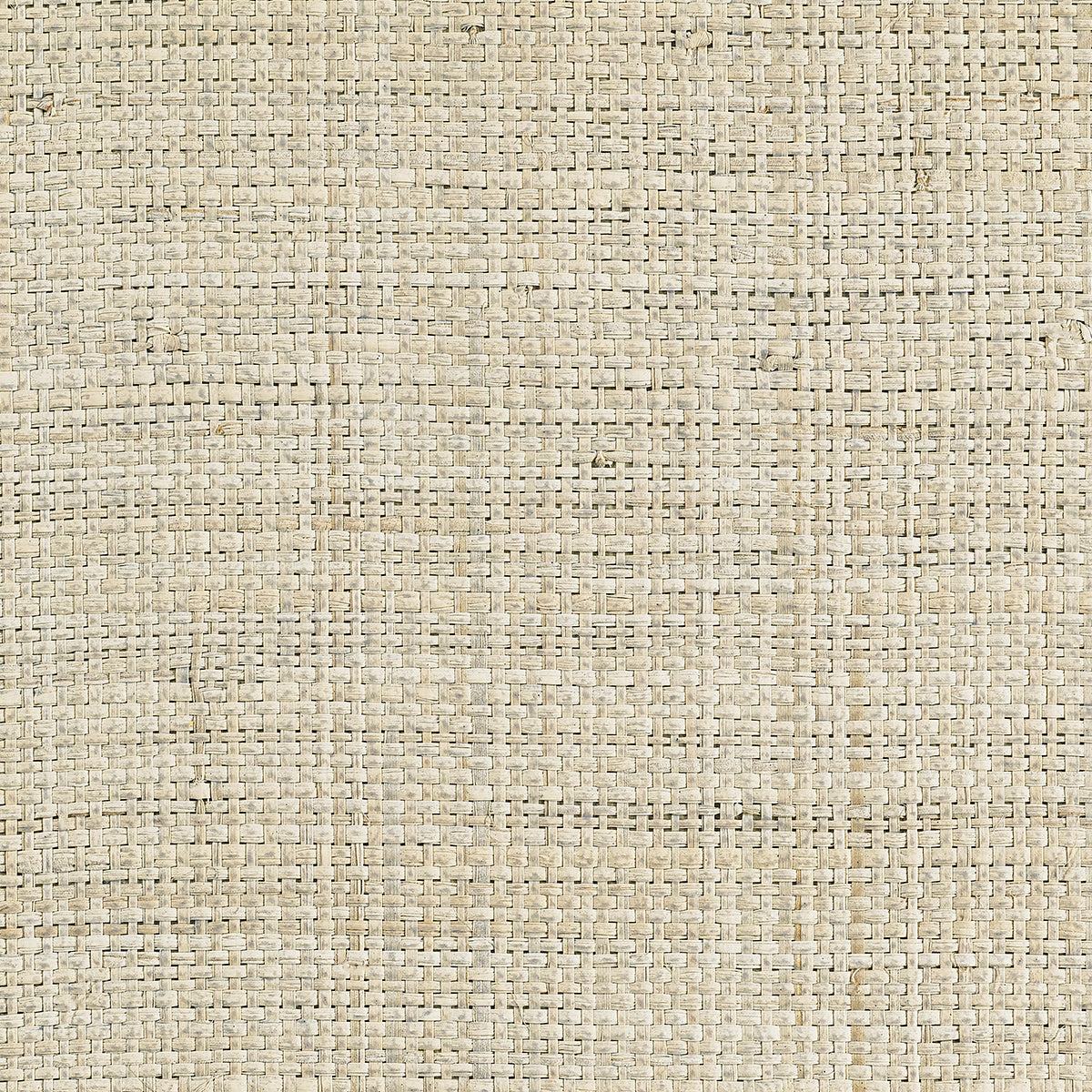 ISLAND-RAFFIA-CANVAS-PHILLIP-JEFFRIES-5827