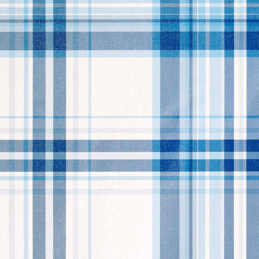 PREPPY-PLAID-NANTUCKET-BLUE-ON-WHITE-ALL-WOUND-UP-PHILLIP-JEFFRIES-8685