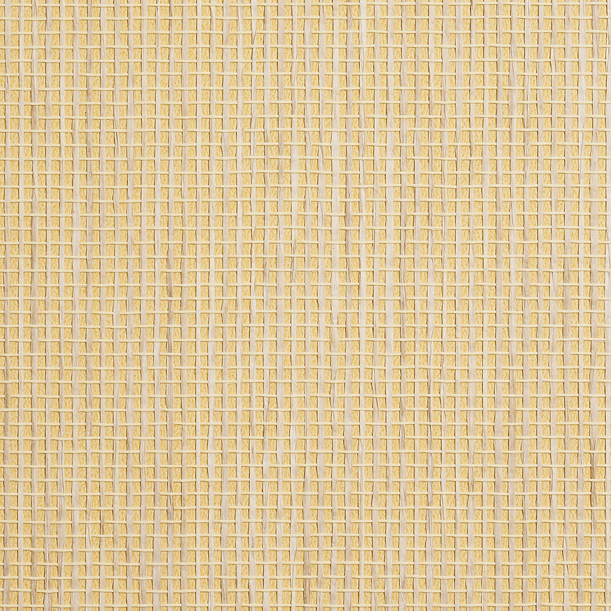 COASTAL-WEAVE-MIDDAY-SUN-PHILLIP-JEFFRIES-9884