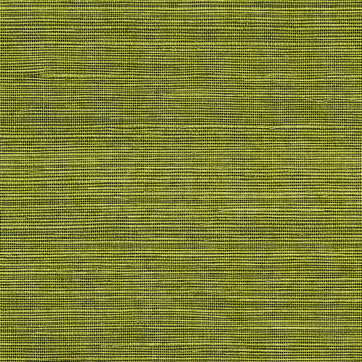 MANILA-HEMP-GRASS-GREEN-PHILLIP-JEFFRIES-5268