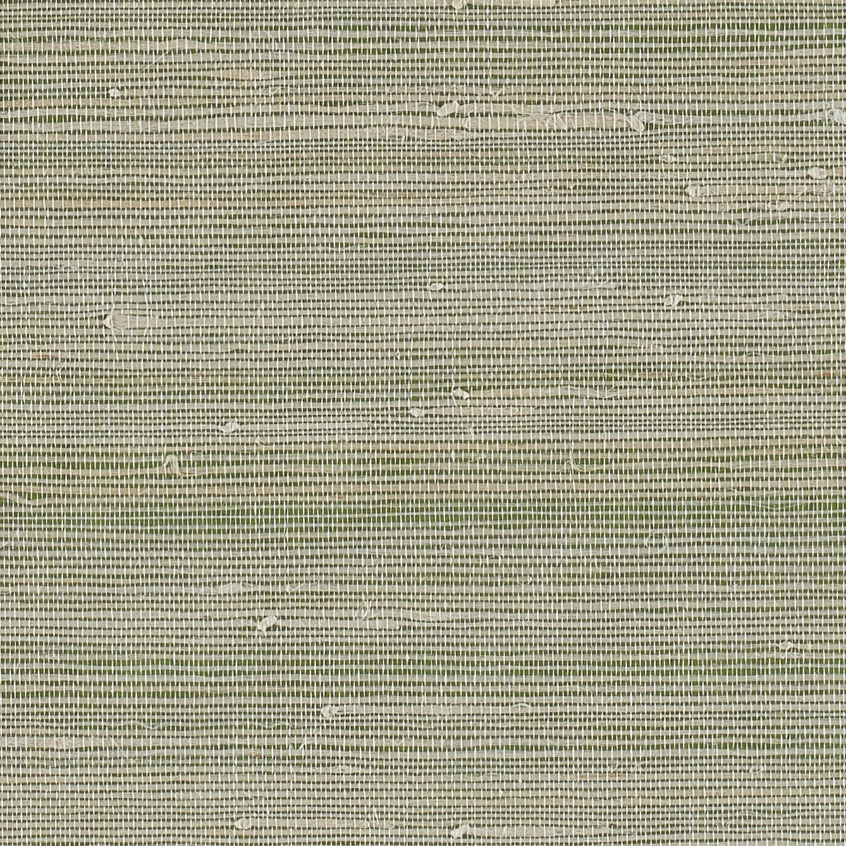 JAZZY-JUTE-GREEN-GROOVE-PHILLIP-JEFFRIES-8851