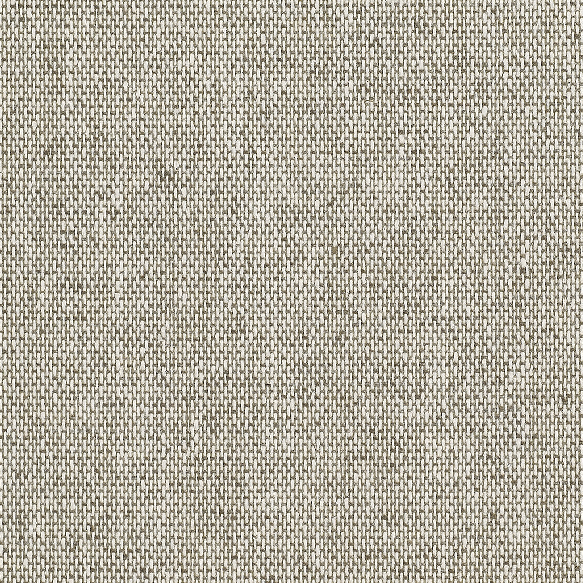 TWEED-HIBERNIAN-BEIGE-PHILLIP-JEFFRIES-5459