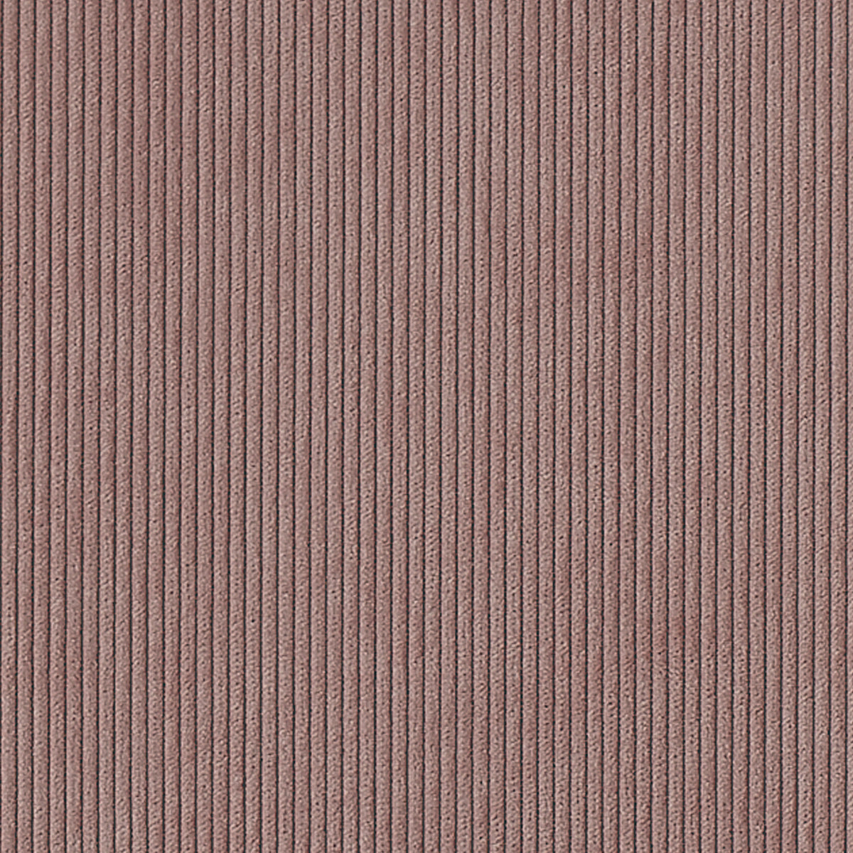 CORDUROY-CLOTH-PINWALE-PINK-PHILLIP-JEFFRIES-8920