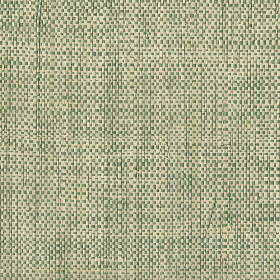 AFRICAN-RAFFIA-TWO-TONE-GREEN-PHILLIP-JEFFRIES-3581