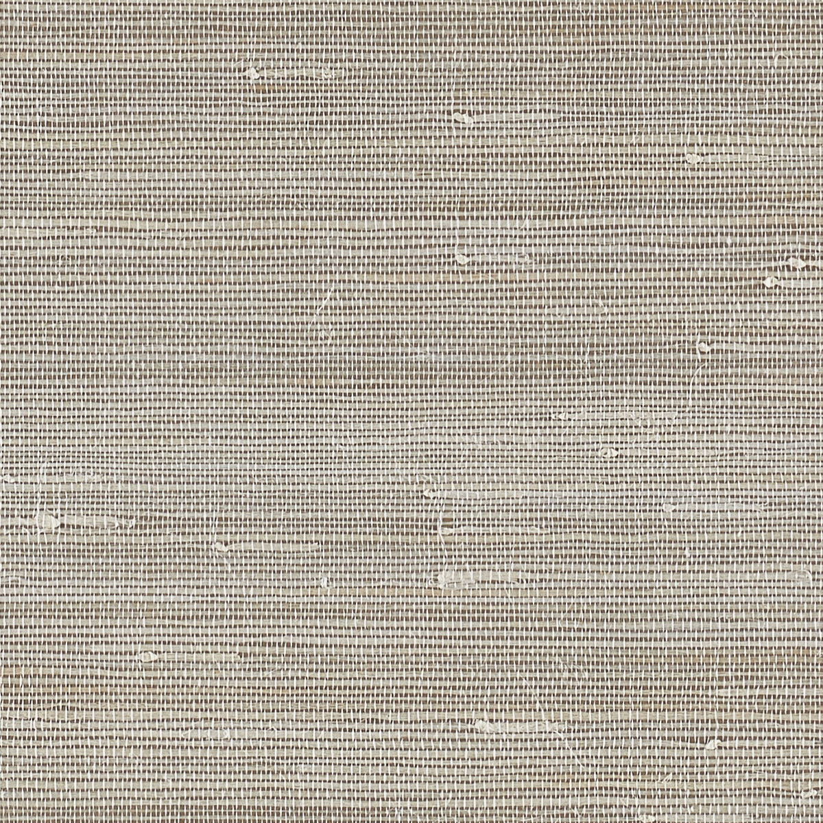 JAZZY-JUTE-TENOR-TAUPE-PHILLIP-JEFFRIES-8847