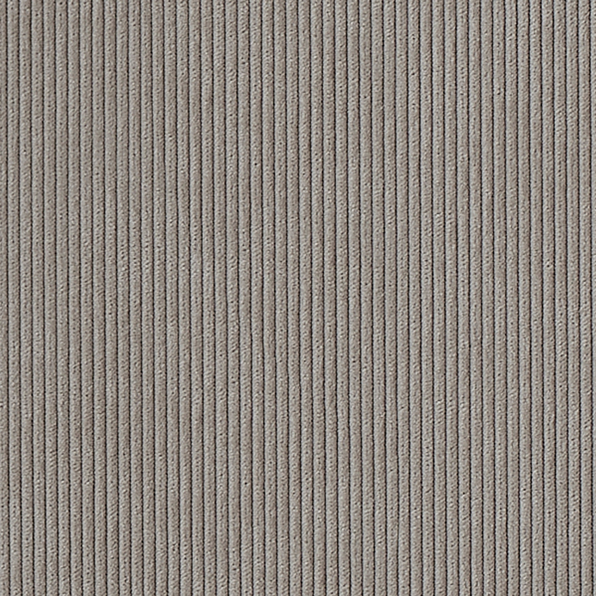 CORDUROY-CLOTH-FLUTED-FLAX-PHILLIP-JEFFRIES-8918