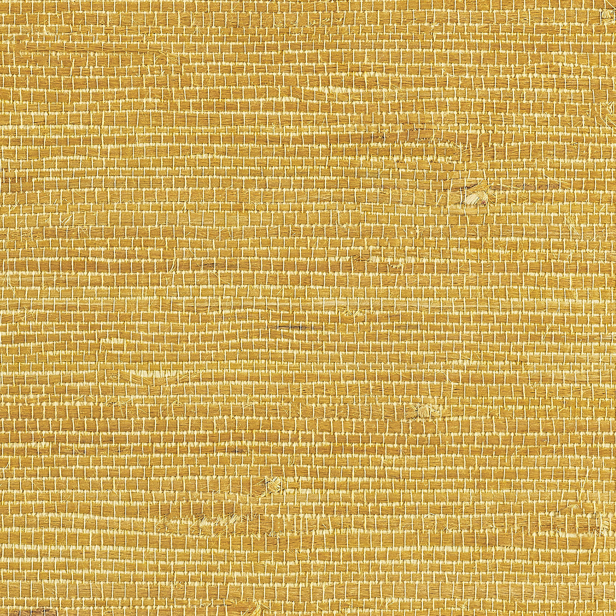 JUICY-JUTE-MEYER-LEMON-PHILLIP-JEFFRIES-4822