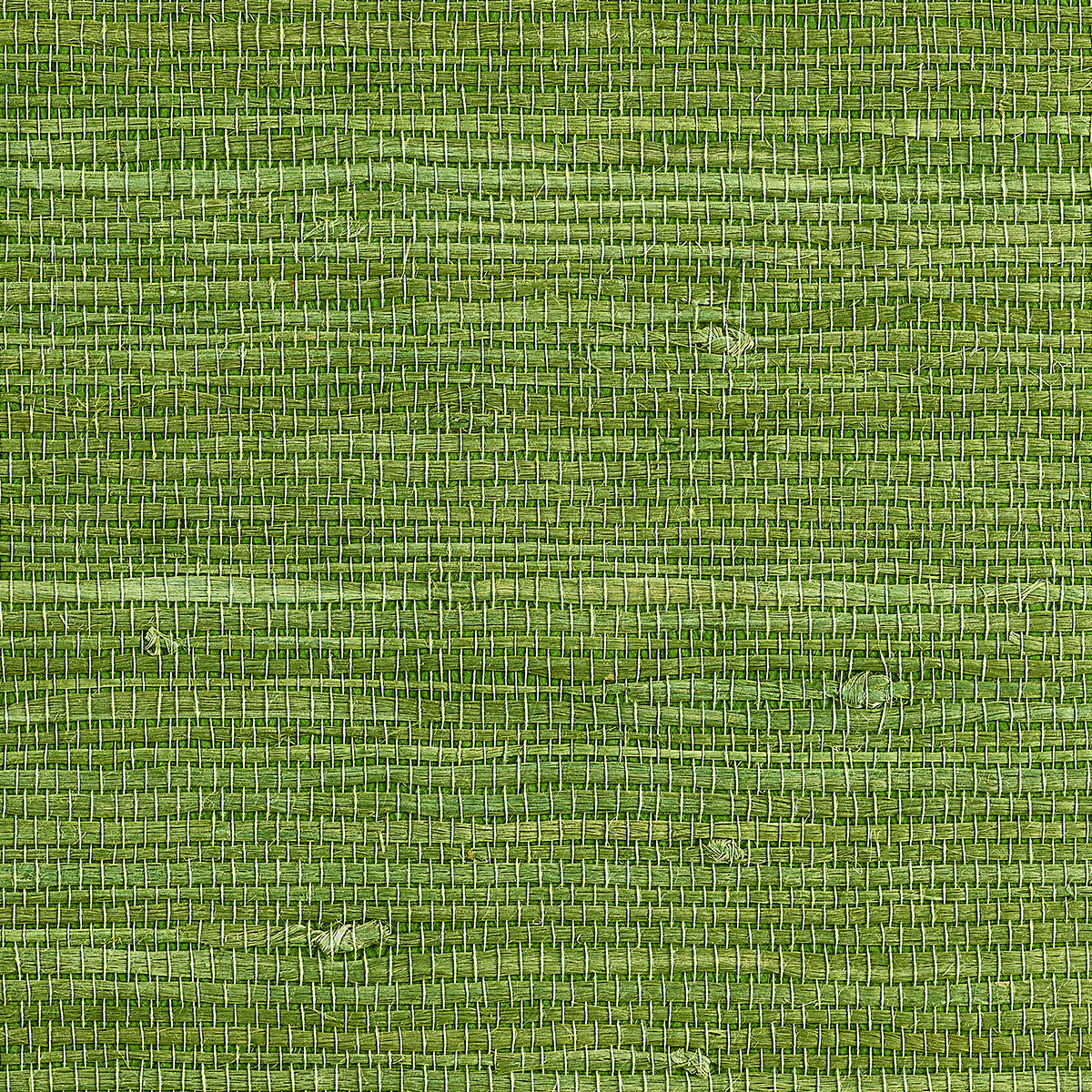 JUICY-JUTE-GARDEN-GREEN-PHILLIP-JEFFRIES-9259