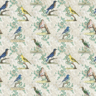 wallpaper-birds