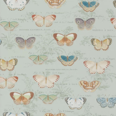 butterfly-studies-john-derian-pjd6017-03