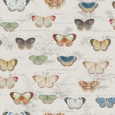 butterfly-studies-john-derian-pjd6017-01