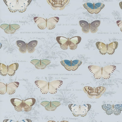 butterfly-studies-john-derian-pjd6017-02