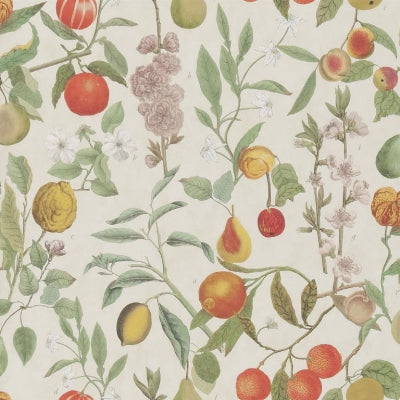 orchard-fruits-john-derian-pjd6018-01