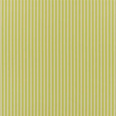 albemarle-stripe-lime-designers-guild-fdg3212-04