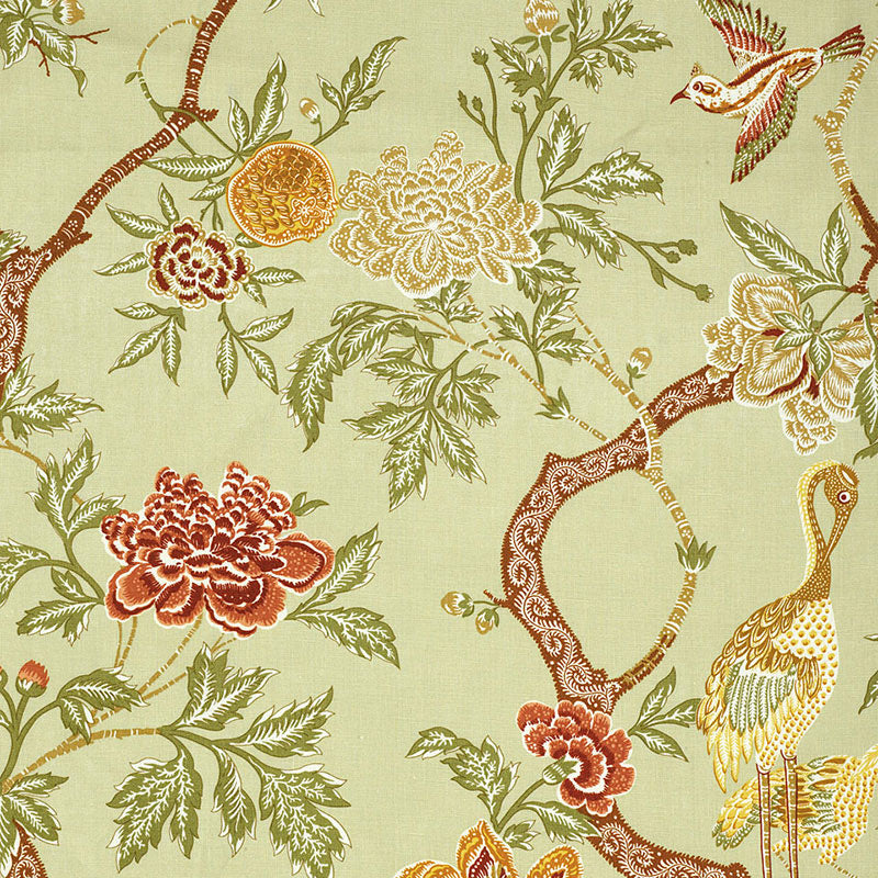 ARBRE-CHINOIS-SAGE-SCHUMACHER-174082