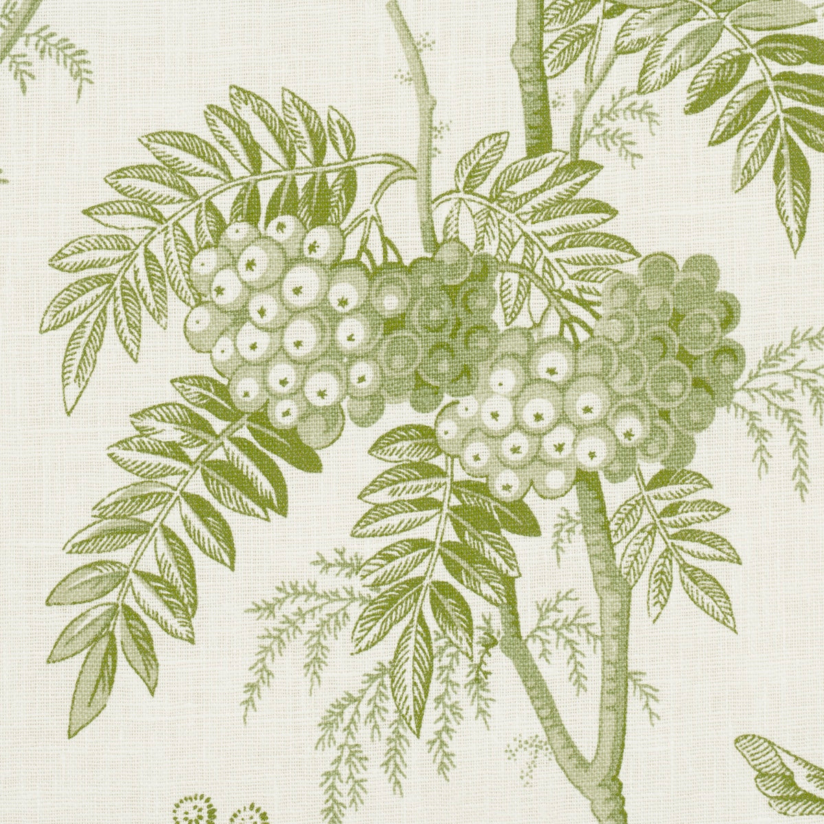 BRANTWOOD-VINE-LEAF-SCHUMACHER-174114