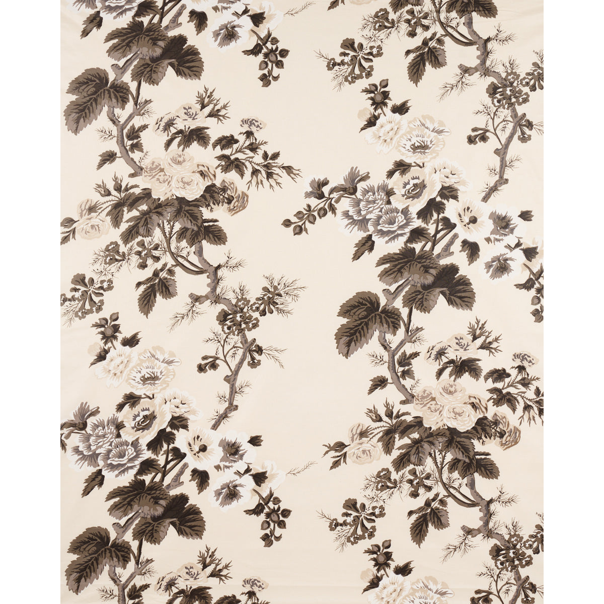 PYNE-HOLLYHOCK-CHARCOAL-SCHUMACHER-174450