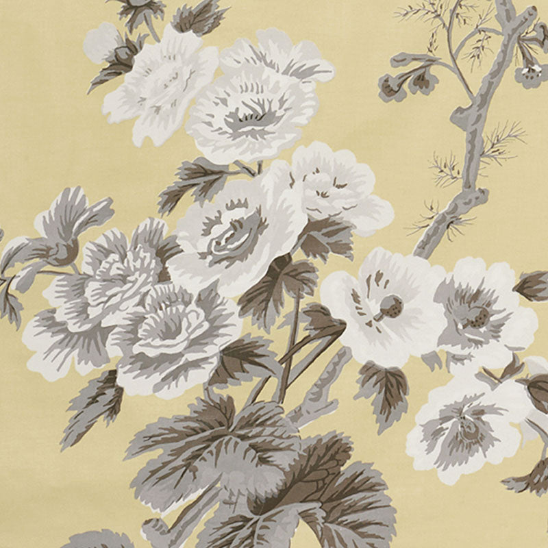 PYNE-HOLLYHOCK-BUTTERCUP-SCHUMACHER-174456