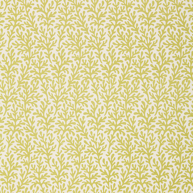 SEA-CORAL-CHARTREUSE-SCHUMACHER-174462