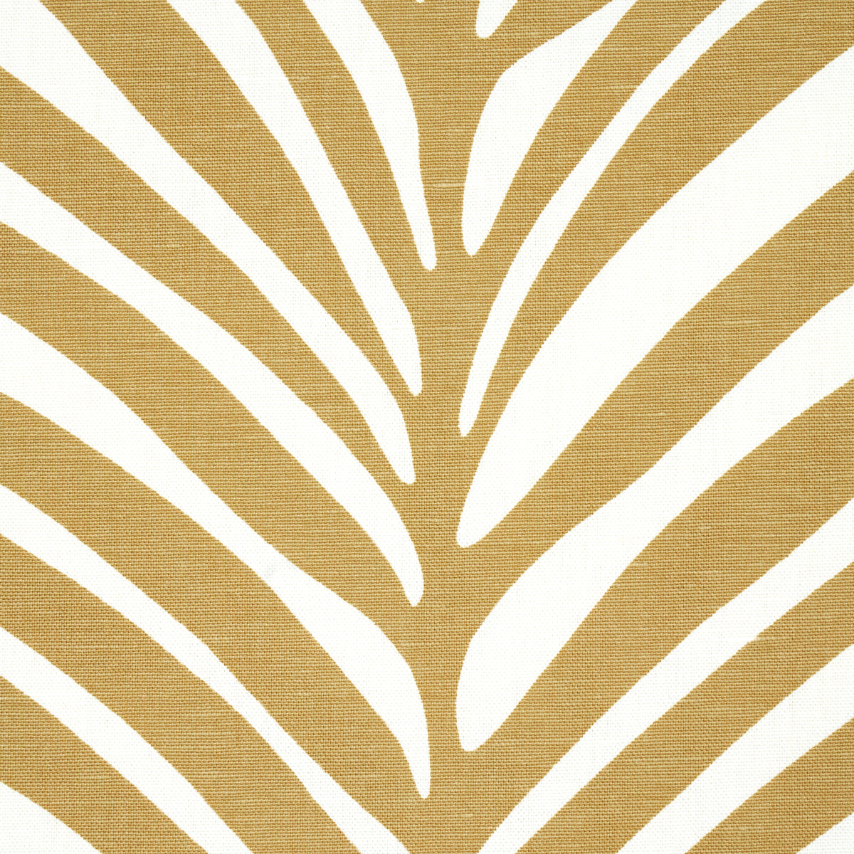 ZEBRA-PALM-KHAKI-SCHUMACHER-174870