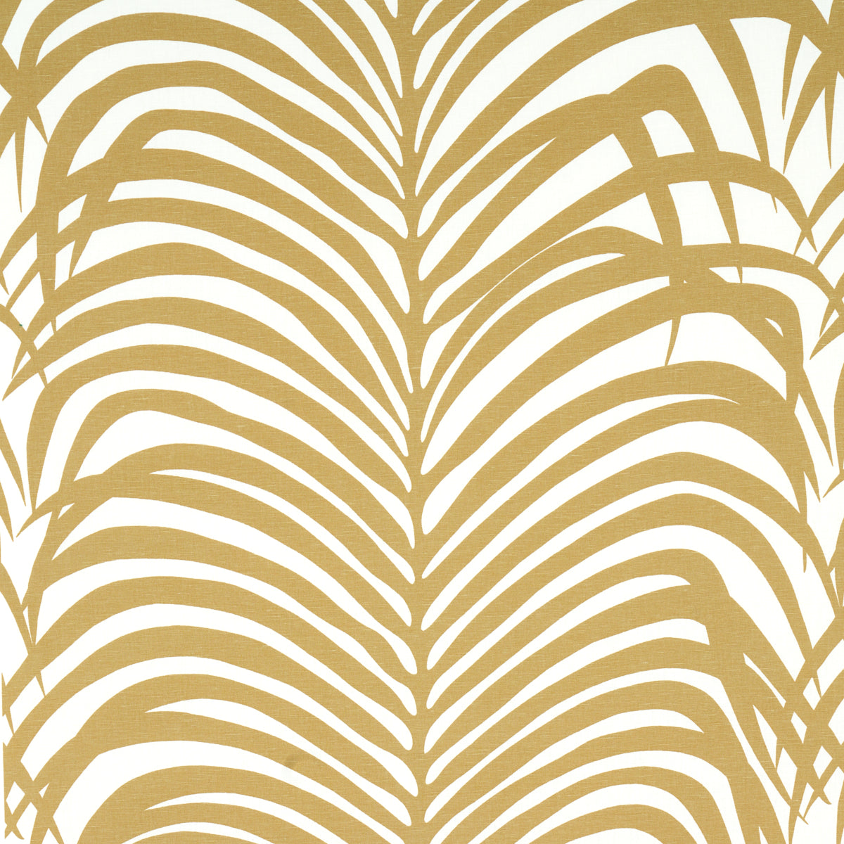 ZEBRA-PALM-KHAKI-SCHUMACHER-174870