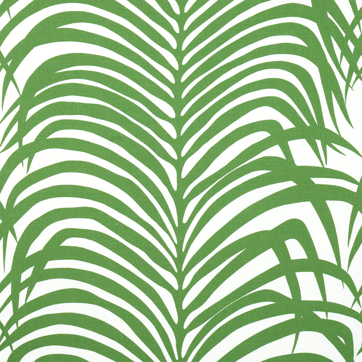 ZEBRA-PALM-JUNGLE-SCHUMACHER-174871