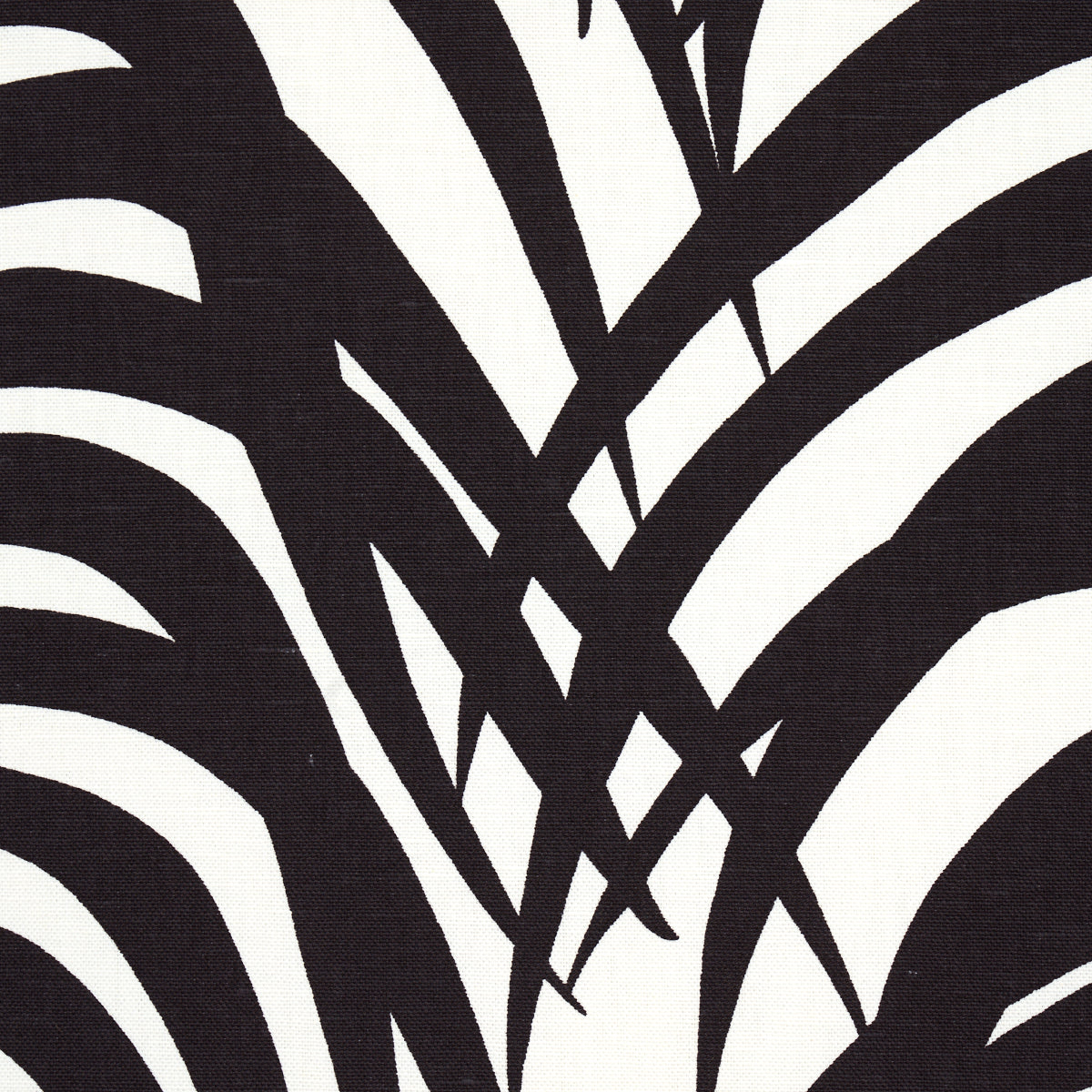 ZEBRA-PALM-EBONY-SCHUMACHER-174872