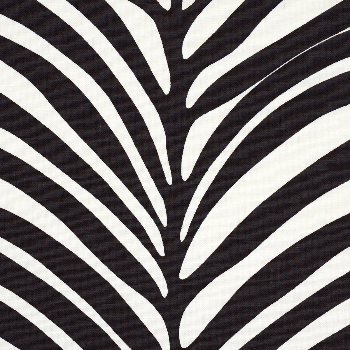 ZEBRA-PALM-EBONY-SCHUMACHER-174872