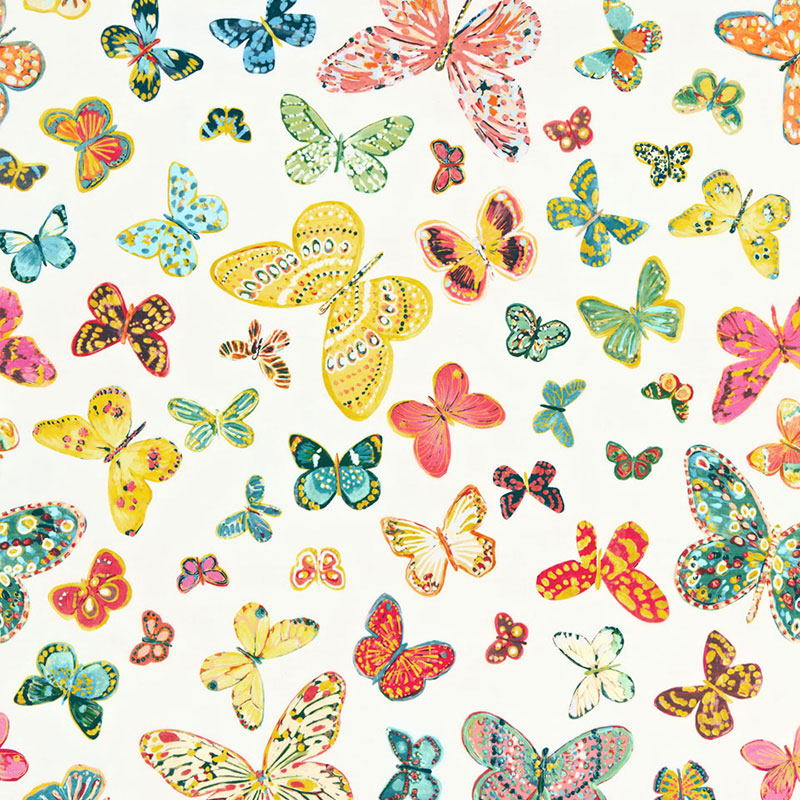 BUTTERFLY-MULTI-SCHUMACHER-174900