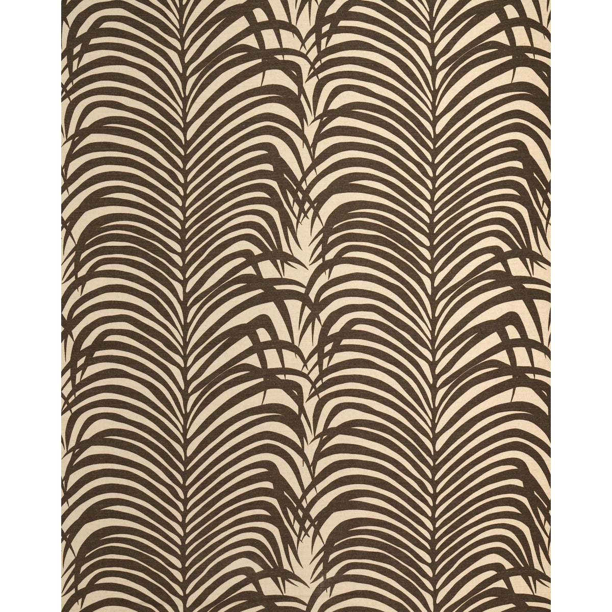 ZEBRA-PALM-JAVA-SCHUMACHER-174970