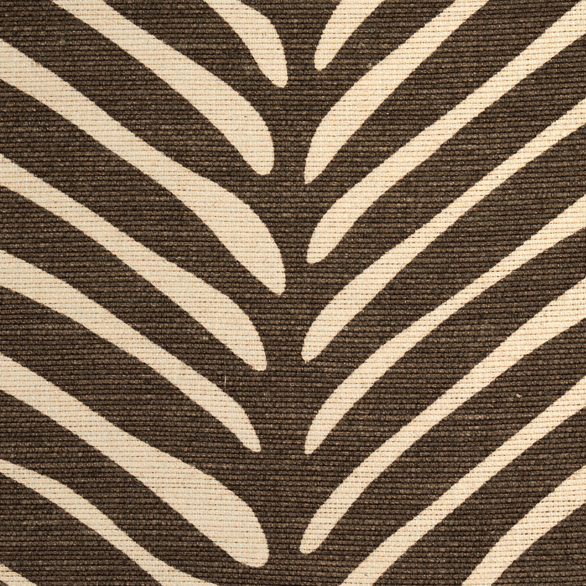 ZEBRA-PALM-JAVA-SCHUMACHER-174970