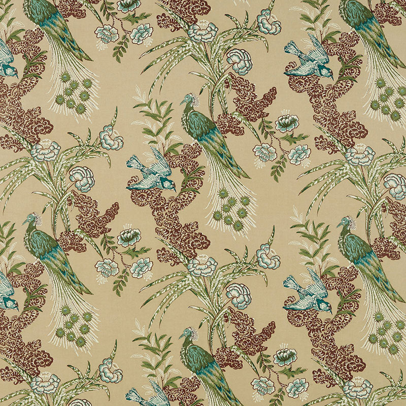 PEACOCK-BEIGE-SCHUMACHER-175914