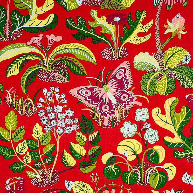 EXOTIC-BUTTERFLY-RED-SCHUMACHER-176180