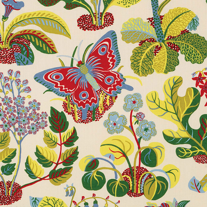 EXOTIC-BUTTERFLY-MULTI-SCHUMACHER-176181