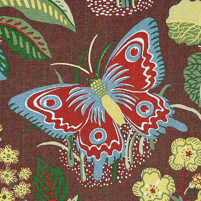 EXOTIC-BUTTERFLY-BROWN-SCHUMACHER-176186