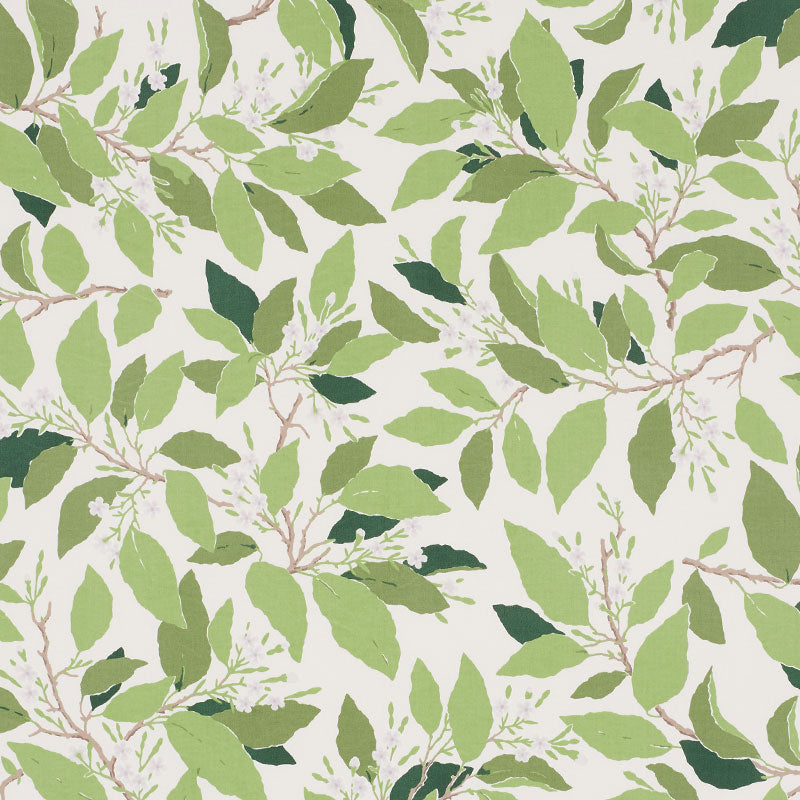 DOGWOOD-LEAF-IVORY-SCHUMACHER-176520