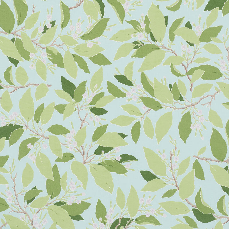 DOGWOOD-LEAF-AQUA-SCHUMACHER-176522